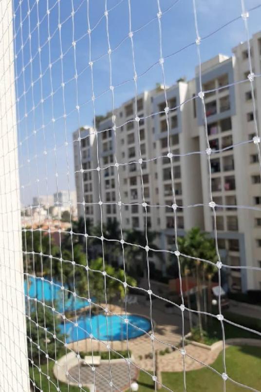 birdnettingdelhi